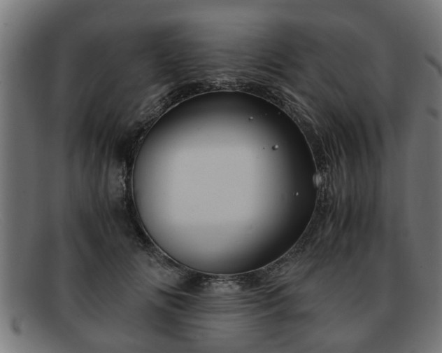 X0000091980702200709131412