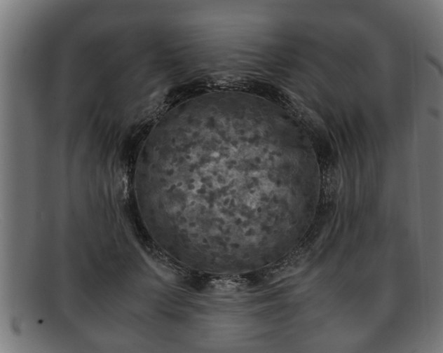 X0000091980703200709131412