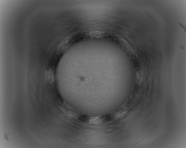 X0000091980705200709131412