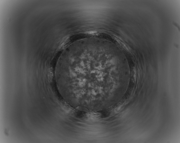 X0000091980707200709131412