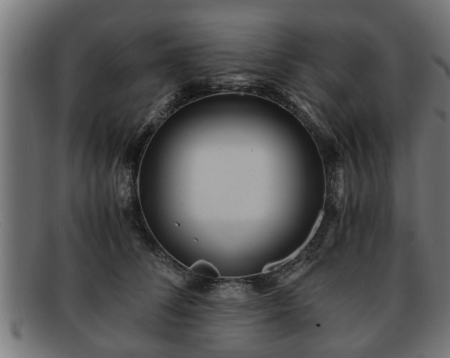 X0000091980708200709131412