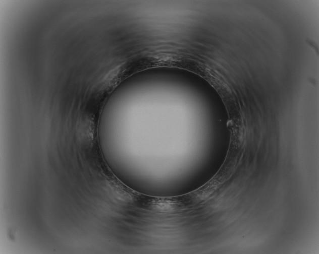 X0000091980710200709131412