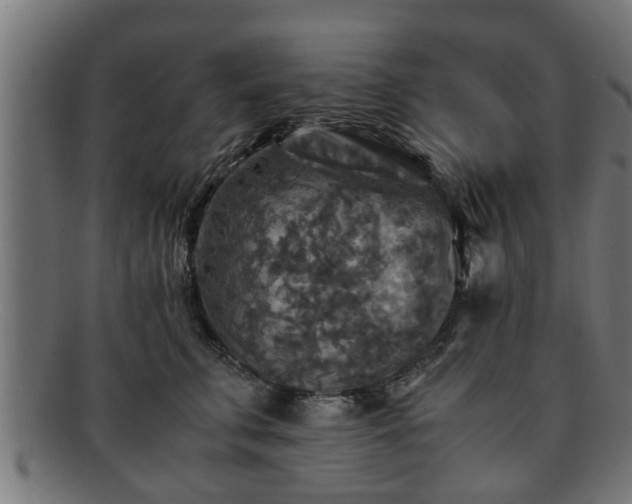 X0000091980711200709131412