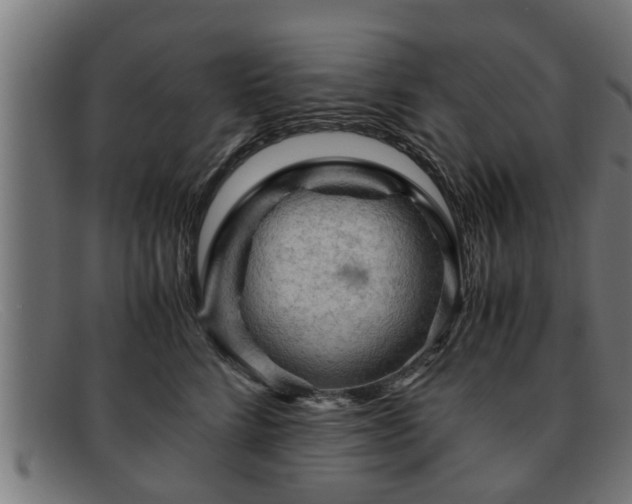 X0000091980712200709131412