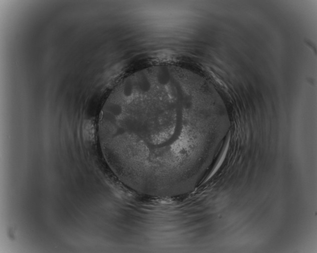 X0000091980715200709131412