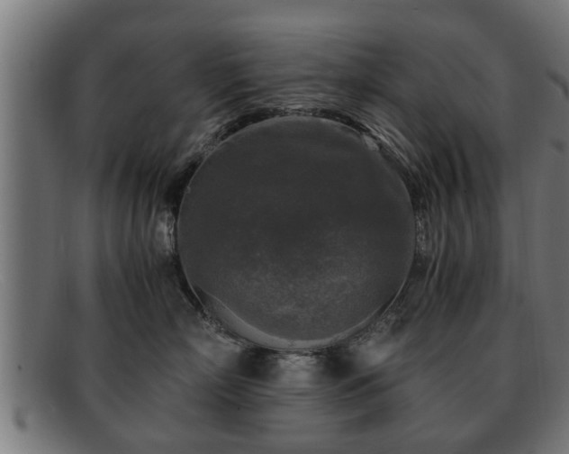 X0000091980718200709131412