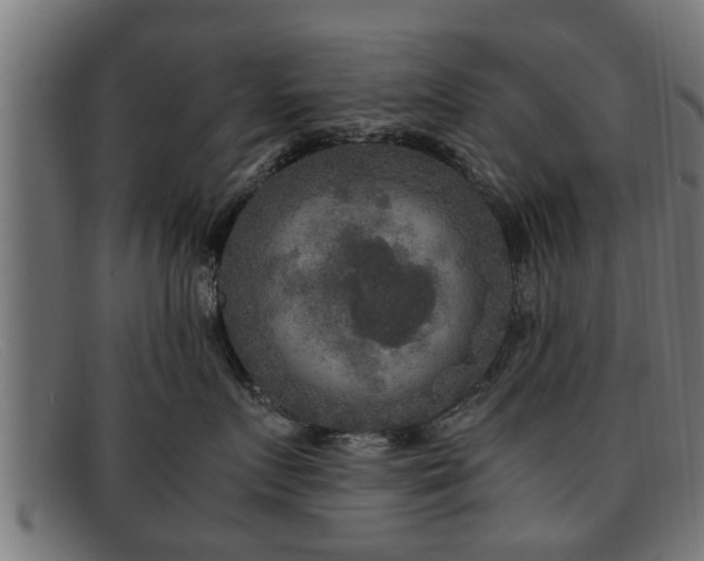 X0000091980719200709131412