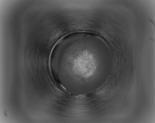 X0000091980720200709131412