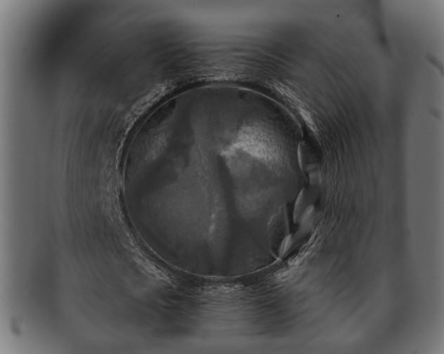 X0000091980721200709131411