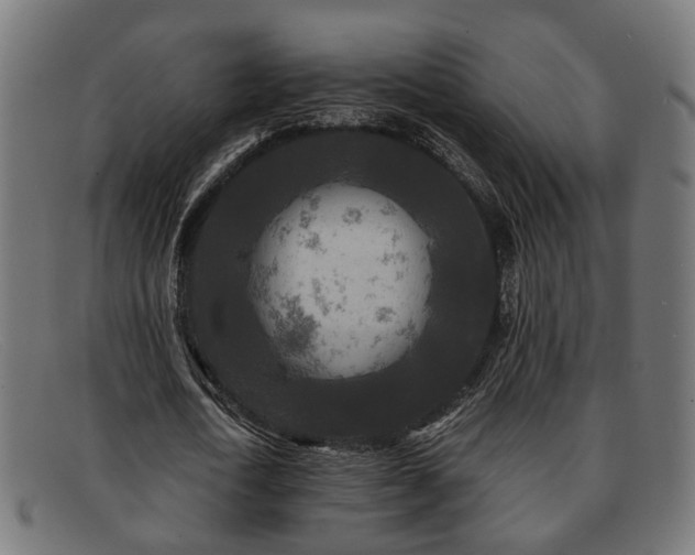 X0000091980722200709131411