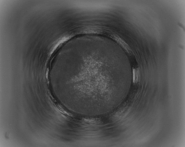 X0000091980723200709131411