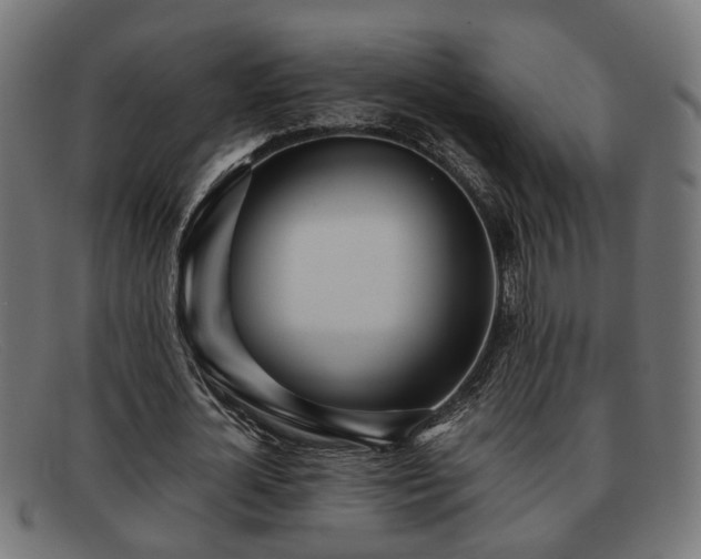 X0000091980724200709131411