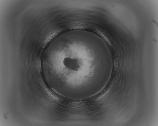 X0000091980725200709131411