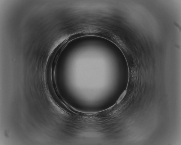 X0000091980726200709131411