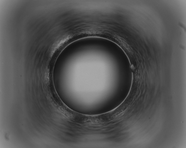 X0000091980727200709131411