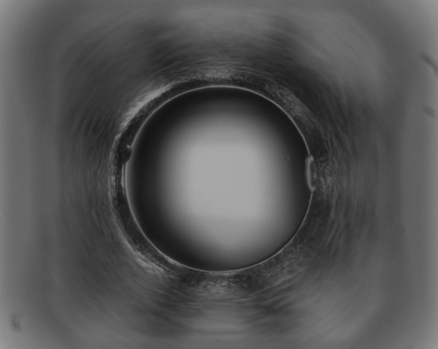 X0000091980728200709131411