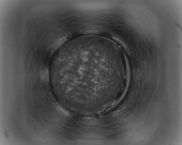 X0000091980729200709131411