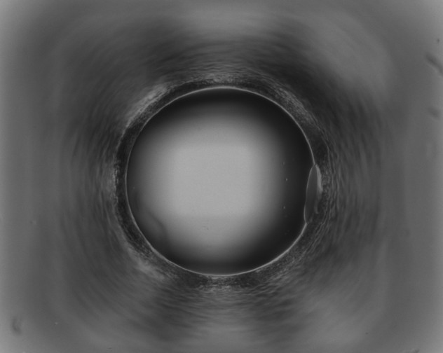 X0000091980730200709131411