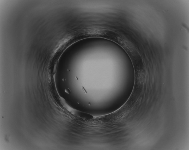 X0000091980731200709131411