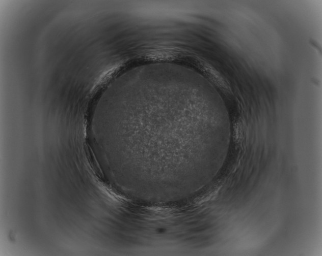 X0000091980733200709131411