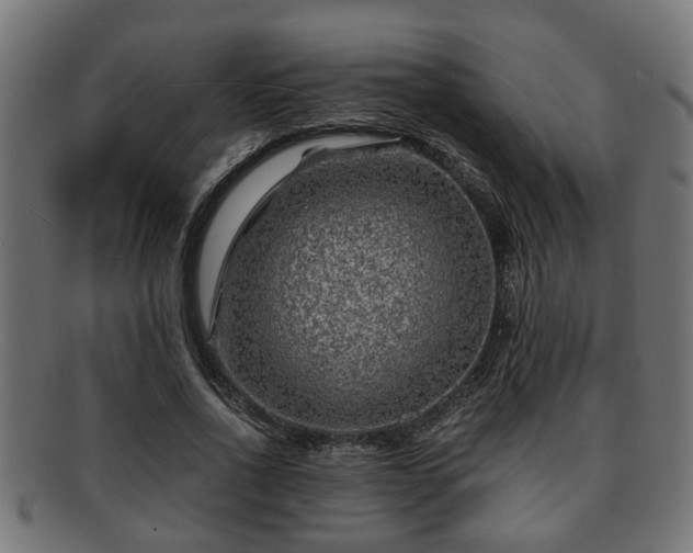 X0000091980734200709131411