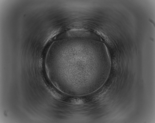 X0000091980735200709131411