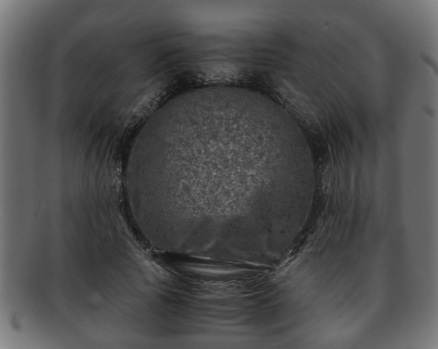 X0000091980737200709131411