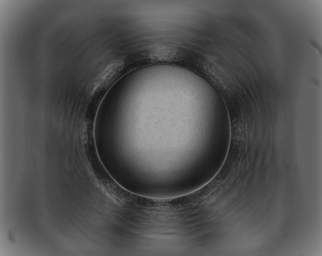 X0000091980738200709131411