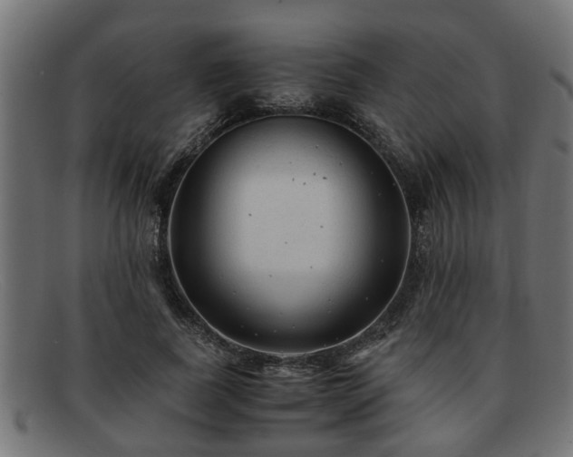 X0000091980739200709131411