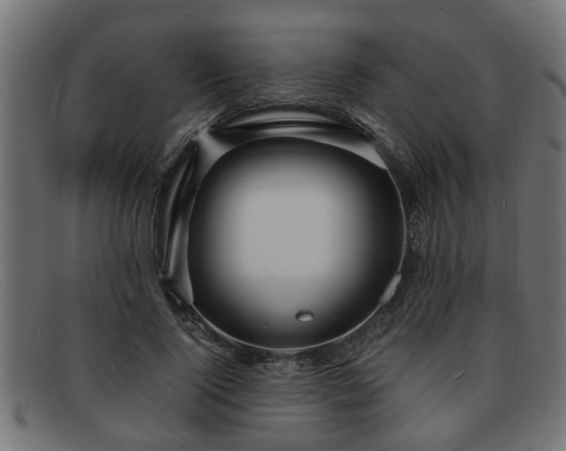 X0000091980740200709131411