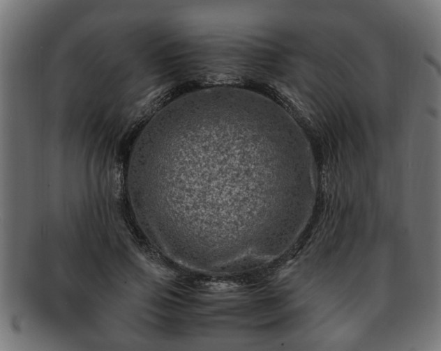 X0000091980741200709131411