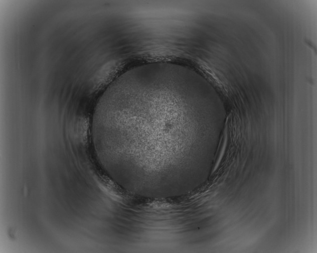 X0000091980742200709131411