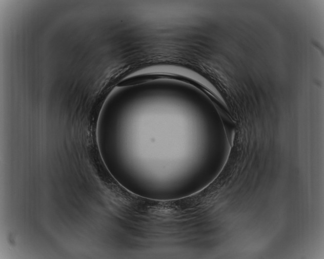 X0000091980743200709131411