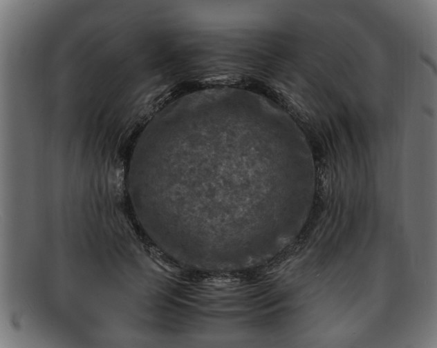 X0000091980745200709131411