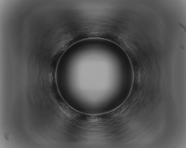 X0000091980746200709131411