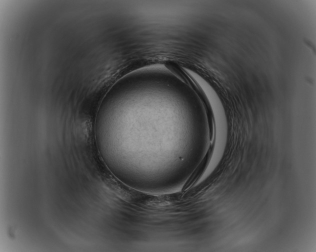 X0000091980747200709131412