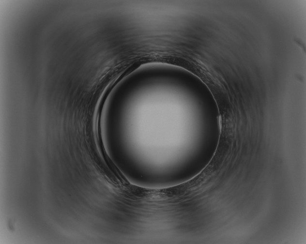 X0000091980750200709131412