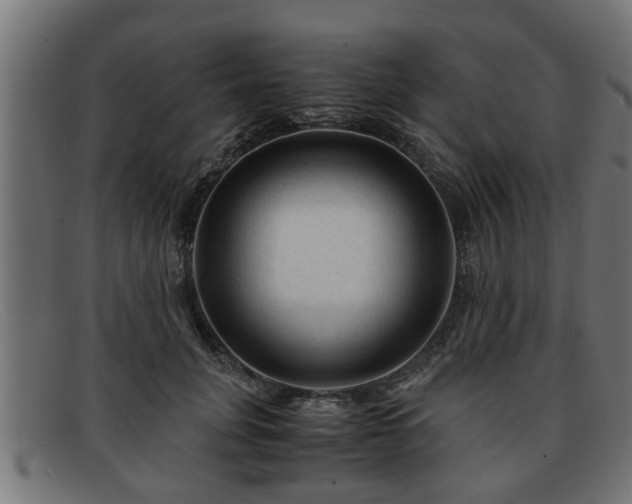 X0000091980751200709131412