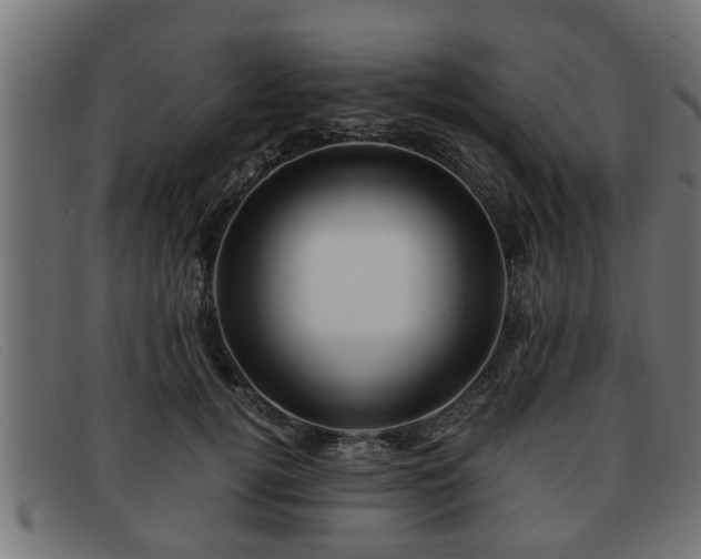 X0000091980752200709131412