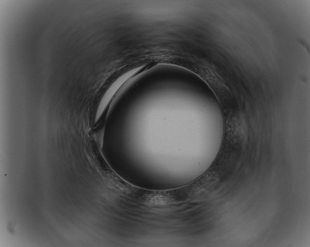 X0000091980755200709131412