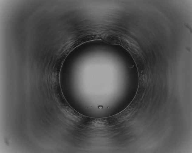 X0000091980756200709131412