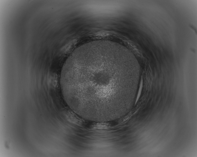 X0000091980758200709131412