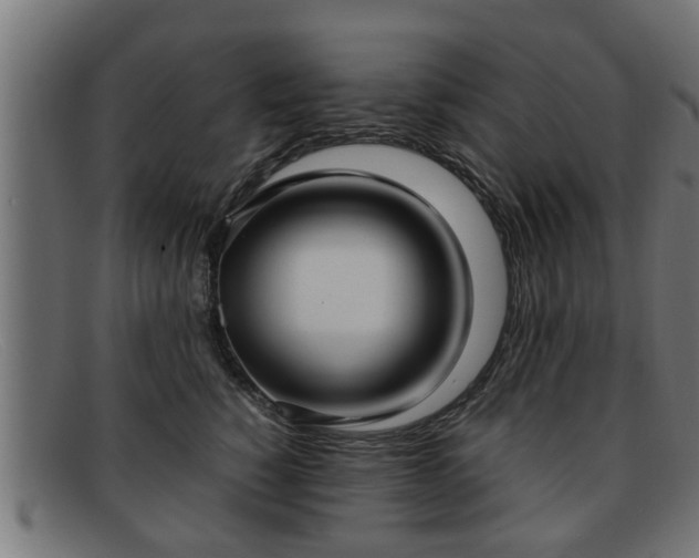 X0000091980760200709131412