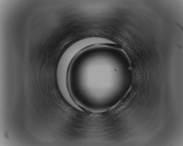 X0000091980762200709131412