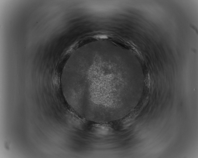 X0000091980763200709131412