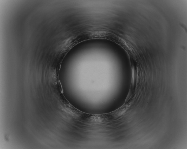 X0000091980764200709131412