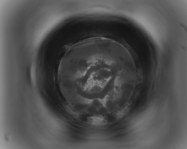 X0000091980765200709131412