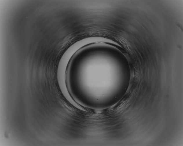 X0000091980766200709131412