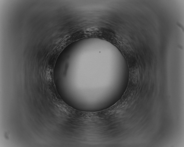 X0000091980770200709131411