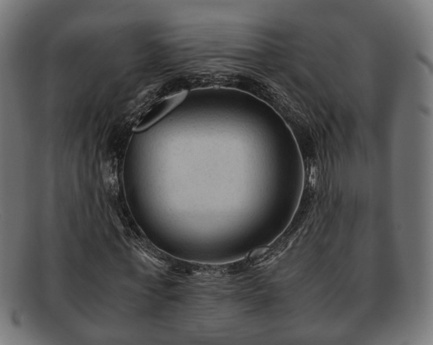 X0000091980771200709131411